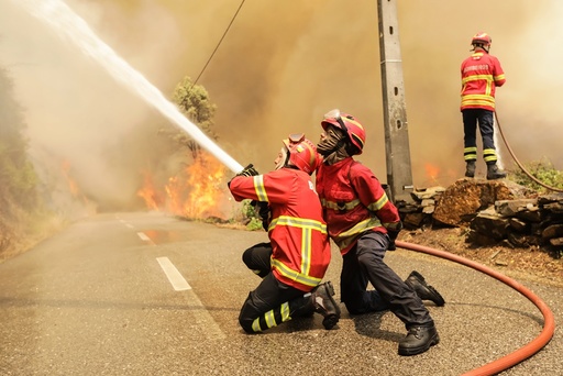 Forest fire in Gois region