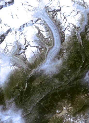 Wider Image: Earthprints: Aletsch Glacier