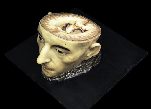 Head and brain model, 18th century