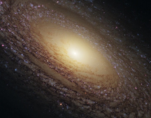 Spiral galaxy NGC 2841, HST image