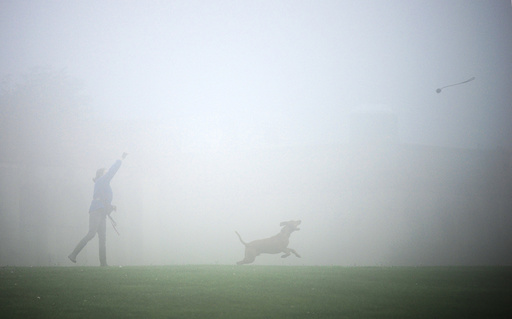 Fog shrouds Crystal Palace as a woman plays with her dog in London