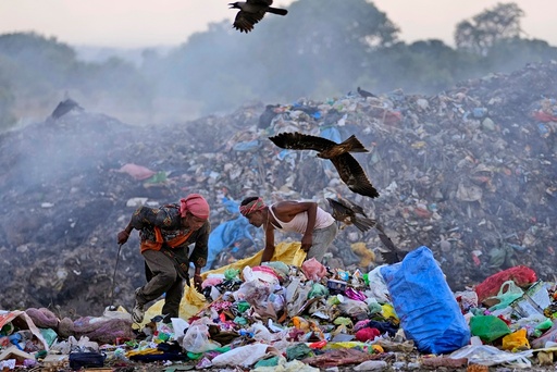 Mer enn 16.000 kjemikalier er knyttet til plast. Noen av disse kjemikaliene kan lekke ut fra plast på forskjellige stadier av livssyklusen og finne veien til luft, vann og jord. Her leter folk etter resirkulerbare materialer på en søppeldynge i Jammu i India.