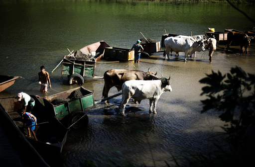 People with their ox-carts shovel sand by artisanal methods from the Tempisque river to be sold for construction purposes, in Filadelfia, Costa Rica