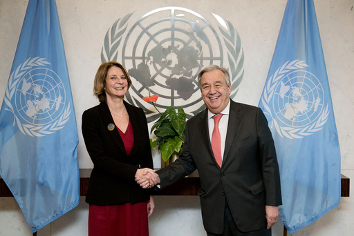 FN-Ambassadør i New York