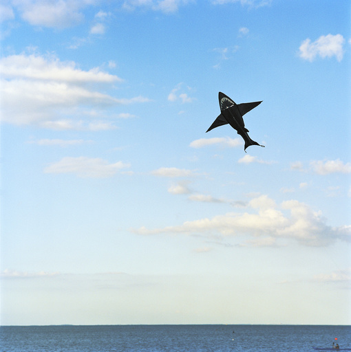 Shark kite over sea