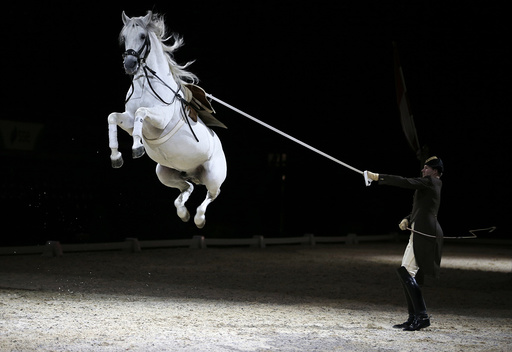 Riders and their horses of the Spanish Riding School of Vienna perform a dress rehearsal for the media at the SSE Arena in London