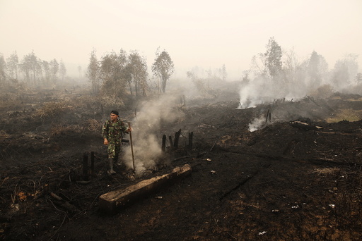 An Indonesian soldier checks on a peat land fire near Palangkaraya, Central Kalimantan, Indonesia
