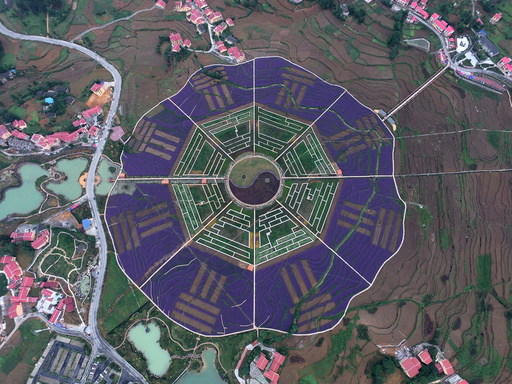 An aerial view of plants arranged in the shape of the Eight Diagrams is seen at a park in Zunyi