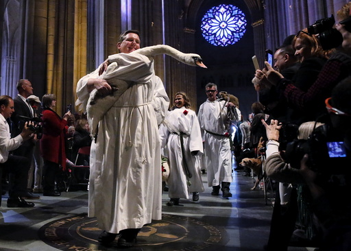 A swan is carried down the nave of the cathedral during the Procession of the Animals at the 31st annual Feast of Saint Francis and Blessing of the Animals at The Cathedral of St. John the Divine in the Manhattan borough of New York