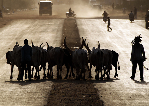 Southern Sudanese men cross a street with cattle during sunset in Juba