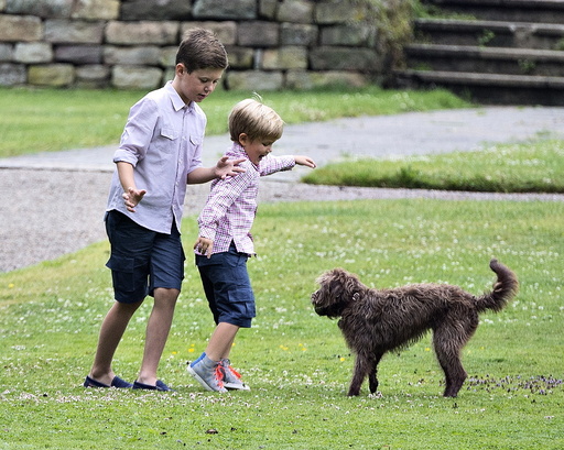 Denmark's Prince Christian and Prince Vincent play with the dogs at Graasten Castle