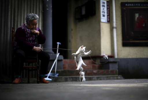 A woman plays with a kitten inside of a line house in downtown Shanghai