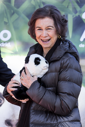 Opening of the renewal of the compound for the giant pandas at the Zoo-Aquarium in Madrid, Spain, 23. Feb 2018