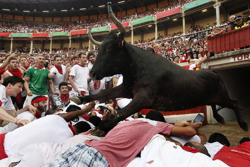 A wild cow leaps over revellers into the bull ring after the second running of the bulls of the San Fermin festival in Pamplona