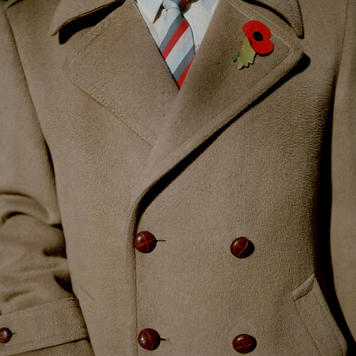 Brown coat and poppy