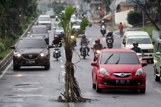Vehicles move past a banana tree in the midst of Kolonel H Barlian street in Palembang