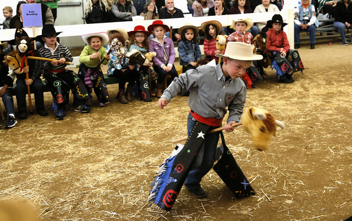 A boy competes in the stick rodeo bull riding competition at the 108th National Western Stock Show in Denver