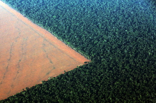The Amazon rain forest (R), bordered by deforested land prepared for the planting of soybeans, is pictured in this aerial photo taken over Mato Grosso state in western Brazil