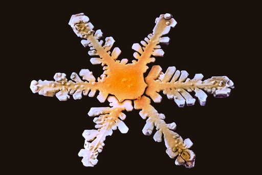 Snowflake, low-temperature SEM