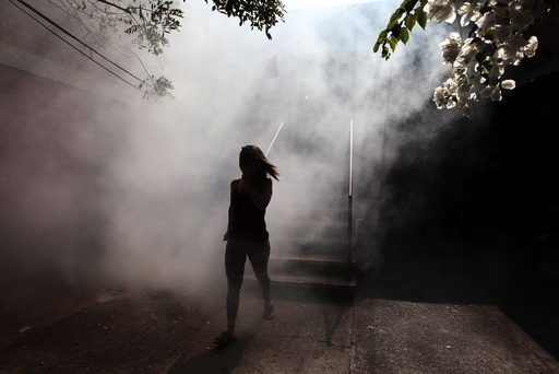 A woman walks away from her apartment as health workers fumigates the Altos del Cerro neighbourhood as part of preventive measures against the Zika virus and other mosquito-borne diseases in Soyapango, El Salvador