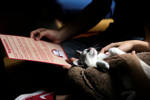 A customer pets a cat while another looks at a menu inside 