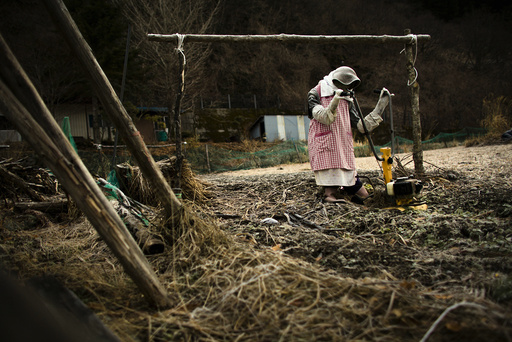 A scarecrow is arranged to look as if it is plowing a field in the village of Nagoro