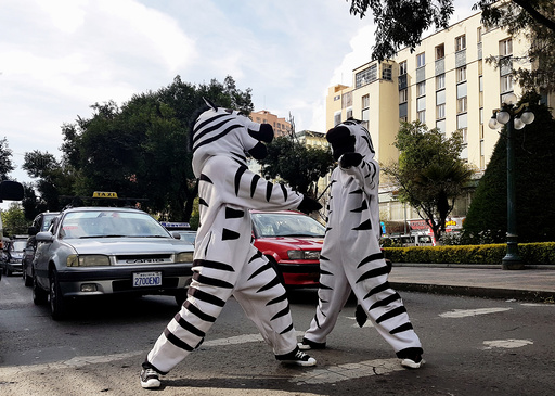 Residents dressed as a zebra perform in the centre of La Paz as part of a Road Education Program