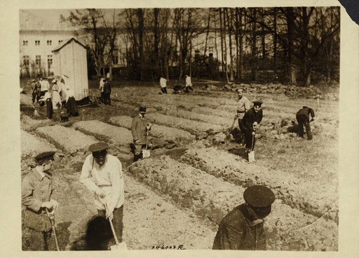 Tsar Nicholas II and family gardening at Alexander Palace during internment at Tsarskoye Selo, 1917.