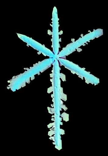 Snowflake, low-temperature SEM