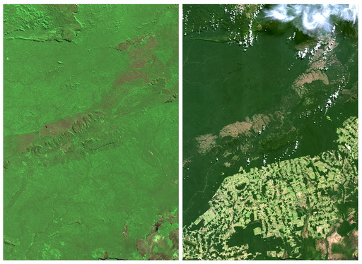 The Wider Image: Earthprints: Rio Pardo