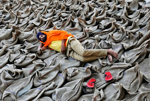 A farmer rests upon sacks filled with paddy at a wholesale grain market in Chandigarh