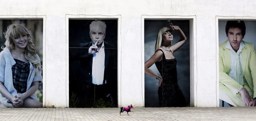Russian Toy Terrier walks in front of wall with portraits of Russia singers at Siberian Venice Park outside Sosnovoborsk