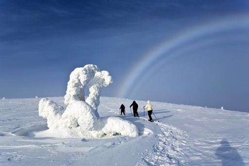 Fogbow and snowy landscape