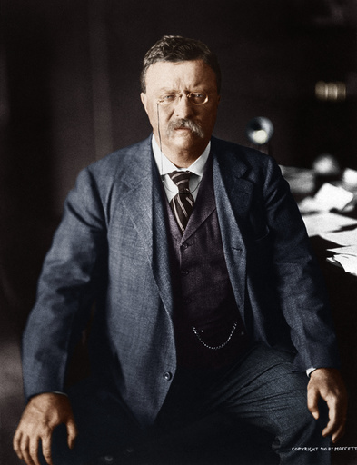 Theodore Roosevelt / Foto um 1910 - Theodore Roosevelt / Photo, c.1910 -