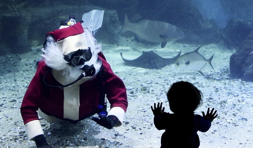 Christmas celebrations at the Melbourne Aquarium