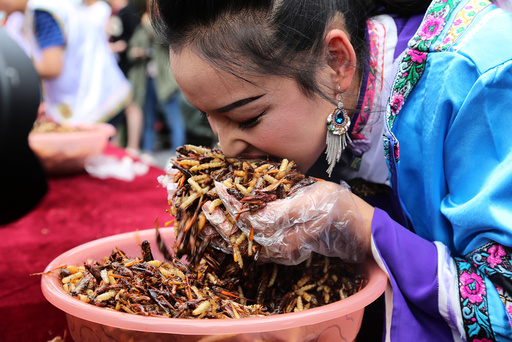 A woman participates in an insect-eating competition at a scenic spot in Lijiang