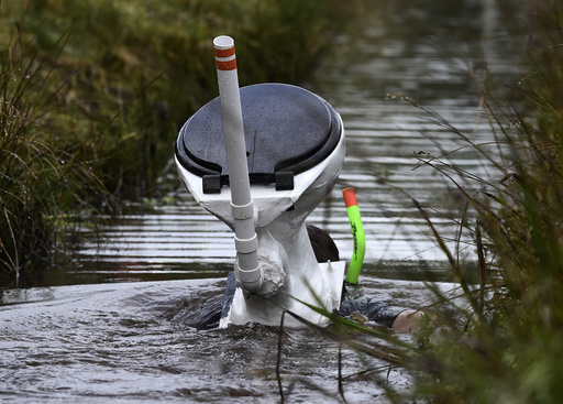 A competitor takes part in the 31st World Bog Snorkelling Championships in Llanwrtyd Wells