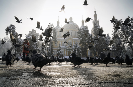 A woman feeds pigeons in Almaty