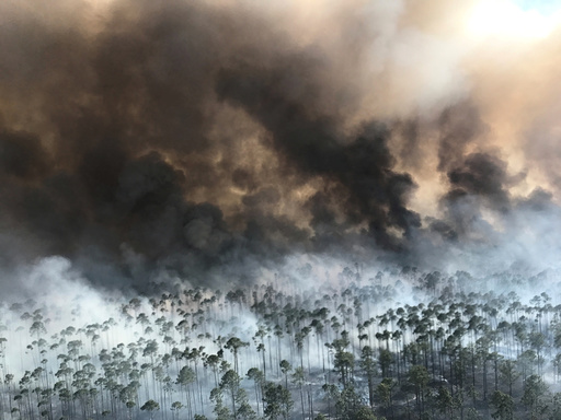 The West Mims fire burns in the Okefenokee National Wildlife Refuge