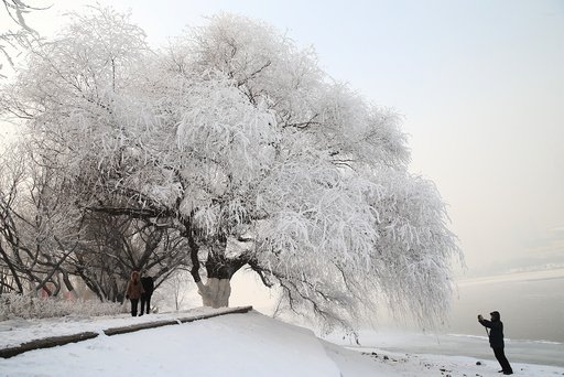 A man captures rime at a park beside a river in Shenyang