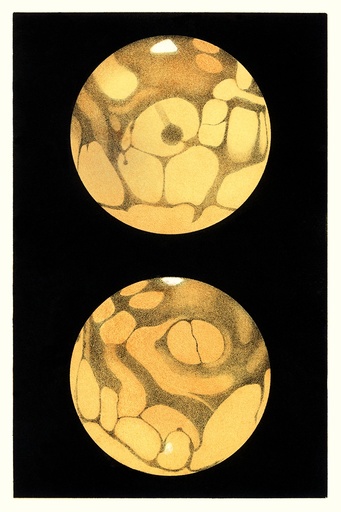Schiaparelli's Mars, historical artwork