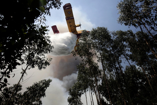 A firefighting plane dumps water on a forest fire in Louriceira