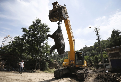 Excavator removes a dead bear at the zoo in Tbilisi