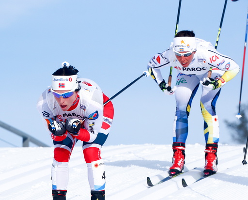 Ski-VM Lahti 2017.