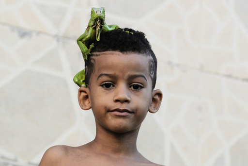 A boy stands outside his home with an iguana on his head in Salvador