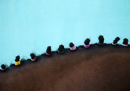 Hairs of a horse tied with ribbons are pictured during the Ghodejatra Horse Race festival, which is organised by the Nepal Army, in Kathmandu