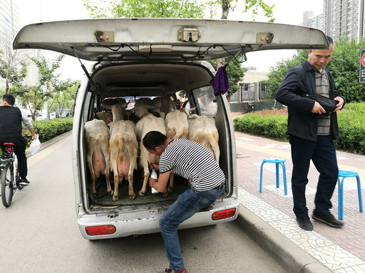 A man sells fresh goat milk at the back of a minibus in Xi'an