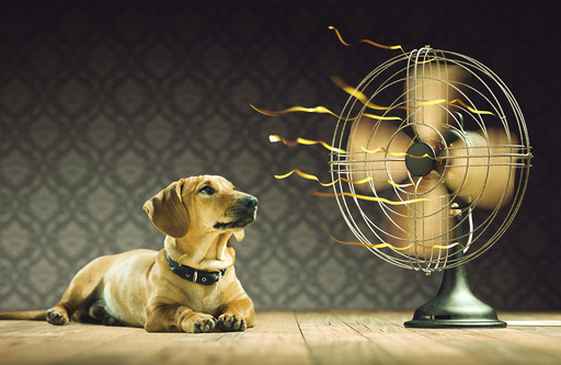 Dog next to electric fan, illustration