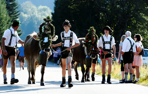 Bavarian farmers escort cows during traditional 