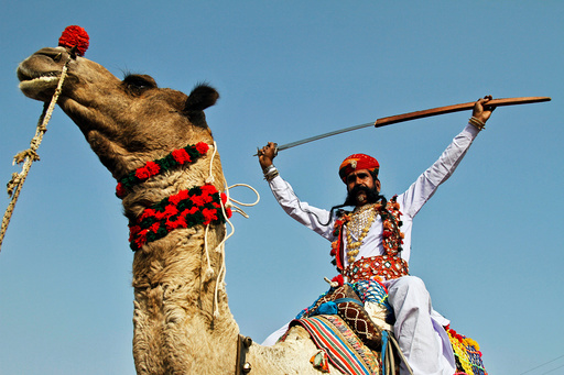 An artist displays a sword on the last day of Pushkar Fair, during which thousands of animals, mainly camels, are brought to the fair to be sold and traded, in the desert state of Rajasthan